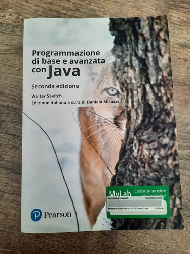 Programmazione base e - programmazione,